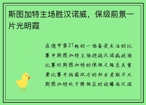 斯图加特主场胜汉诺威，保级前景一片光明霞