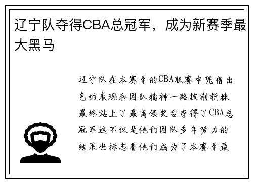 辽宁队夺得CBA总冠军，成为新赛季最大黑马